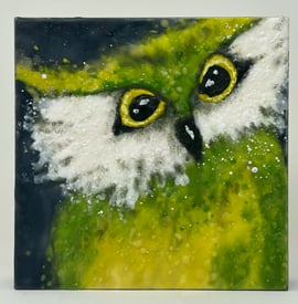 Cindy Obuck - Lemon Lime